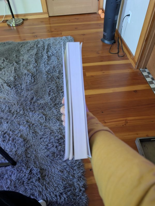 Slightly Damaged Copies of Like a Ship on the Sea - Image 3