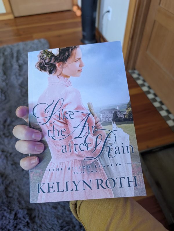 Slightly Damaged Copies of Like the Air After Rain - Image 2