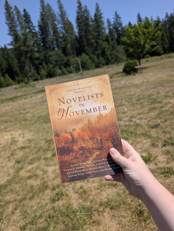 Summer Shelf Sale: Novelists in November
