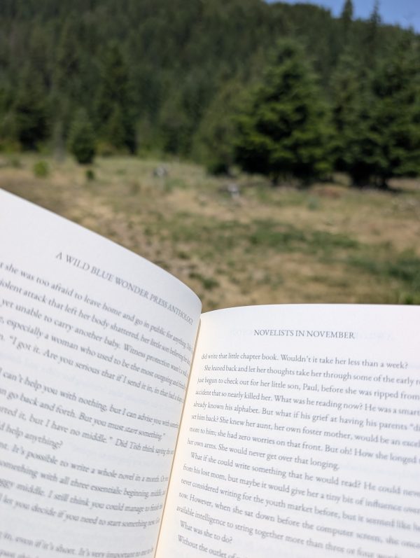 Summer Shelf Sale: Novelists in November - Image 2