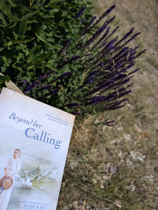 Summer Shelf Sale: Beyond Her Calling