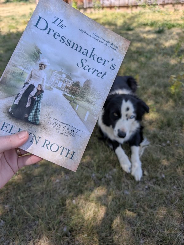 Summer Shelf Sale: The Dressmaker's Secret